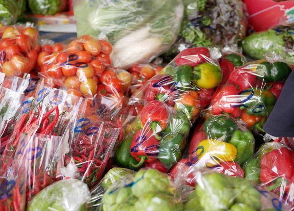 plasticul pe care il folosim zilnic legat de ficatul gras ce au descoperit cercetatorii