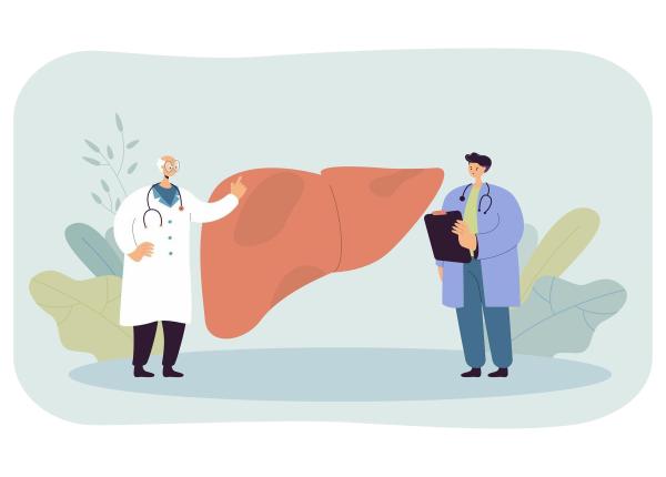 hormonul care taie pofta de mancare are un rol secret in ficat linia directa intre creier si ficat care poate opri inflamatia