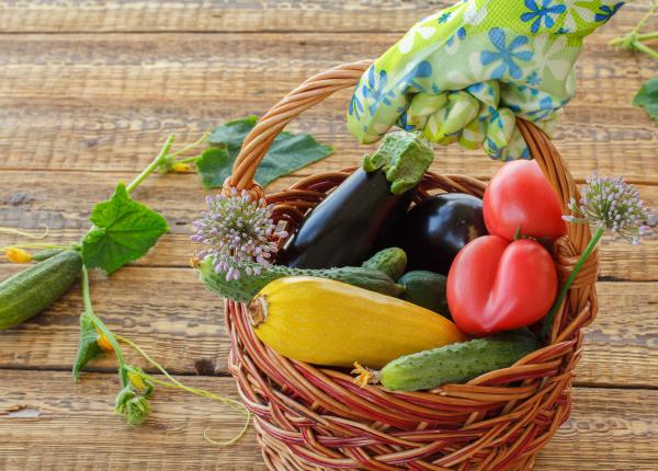 leguma verii care poate reduce colesterolul are putine calorii si multe fibre