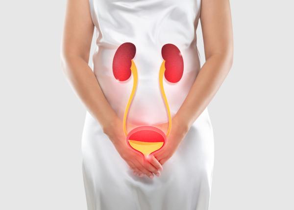 de ce infectiile urinare sunt atat de dureroase