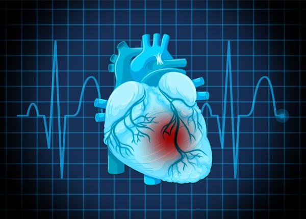 inima isi poate incarca singura stimulatorul cardiac dispozitivul care ar putea elimina pentru totdeauna bateria