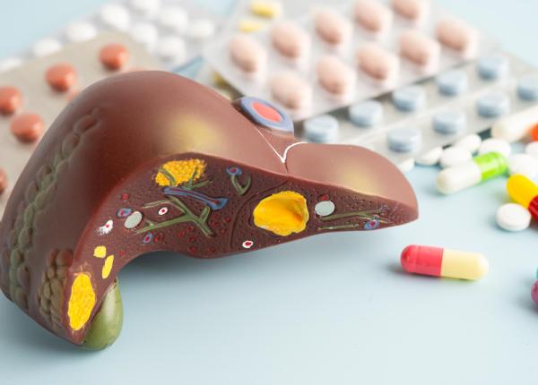 un medicament experimental a inversat formele severe de ficat gras si a reparat intestinul