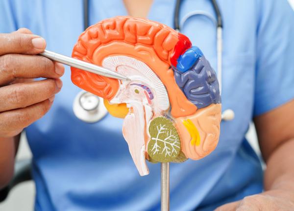 cand incepe de fapt boala alzheimer ce se schimba in creier cu ani inainte
