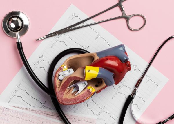 noua arma impotriva emboliei pulmonare medicii ajung direct la cheag