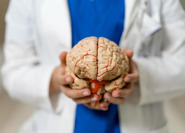 a 21 a editie a scolii internationale de vara de neurologie si a 14 a editie a european teaching course on neurorehabilitation eforie nord 2 5 septembrie 2026