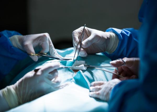 transplant renal cum ar putea fi identificati pacientii cu risc mai mic de respingere