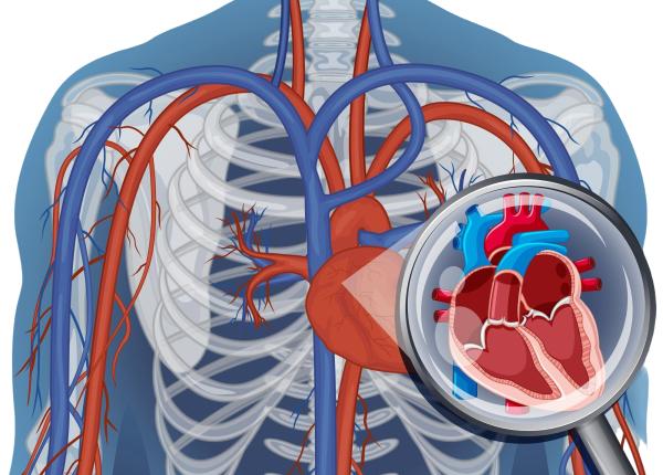 durerea care poate anunta una dintre cele mai periculoase urgente medicale ce este disectia aortica