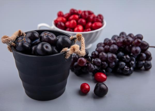 coacazele negre care pot accelera arderea grasimilor ce au descoperit cercetatorii dupa doar 7 zile