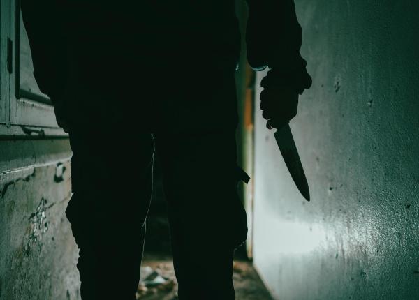 cum pot ajunge copiii sa fie atrasi de violenta ipoteza lui liviu chesnoiu in cazul de la bistrita