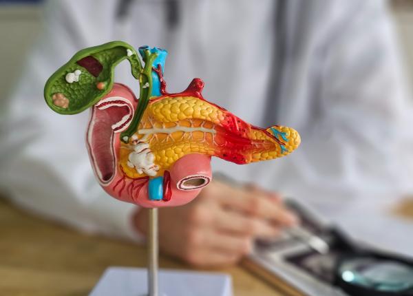 cum pacaleste cancerul pancreatic sistemul imunitar doar 5 dintre celule pot proteja tumora