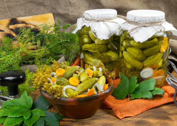 muraturile si balonarea ce trebuie sa stii daca ai probleme digestive