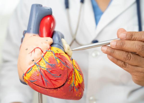 tratamentul care poate prelungi viata pacientilor cu fibrilatie atriala ce impact au anticoagulantele