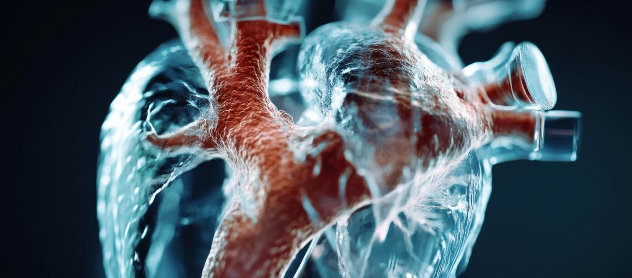 Stenoza aortică, simptome, diagnostic și tratamente moderne. Prof. dr. Horațiu Moldovan: Începe să obosească, face sincope