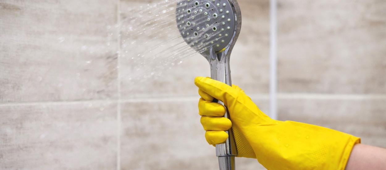 De ce ar trebui să cureți capul de duș mai des decât crezi