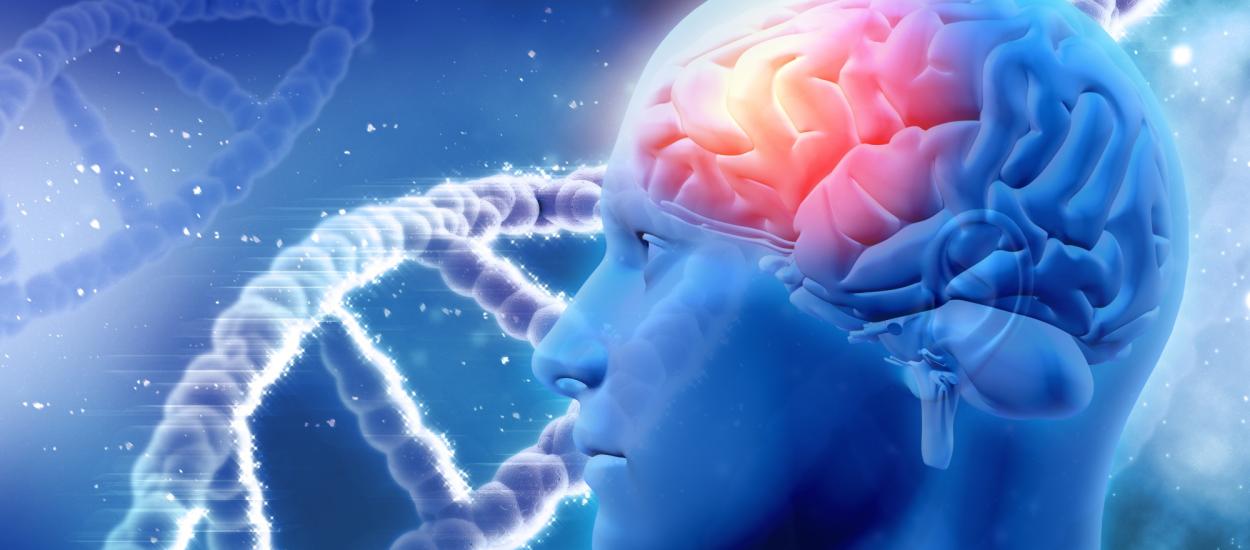 Greșeala banală care îți distruge creierul după 60 de ani