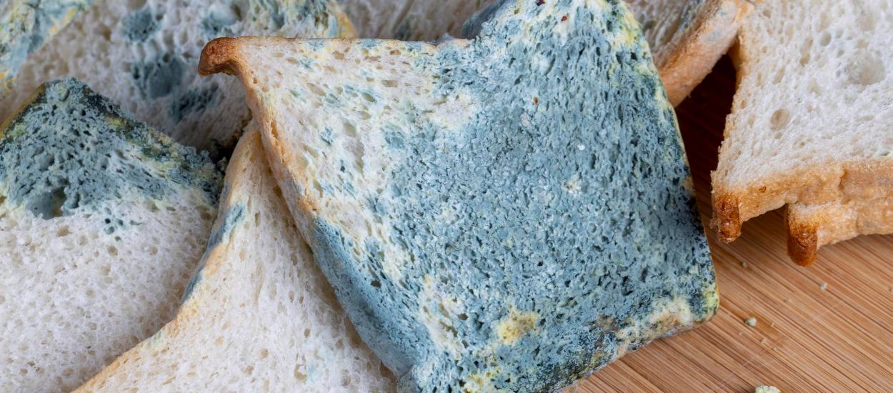 Ai găsit mucegai pe o felie de pâine? Uite de ce trebuie să arunci toată pâinea