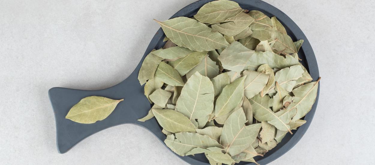 Poți mânca frunzele de dafin? De ce sunt scoase din mâncare și cum se folosesc corect