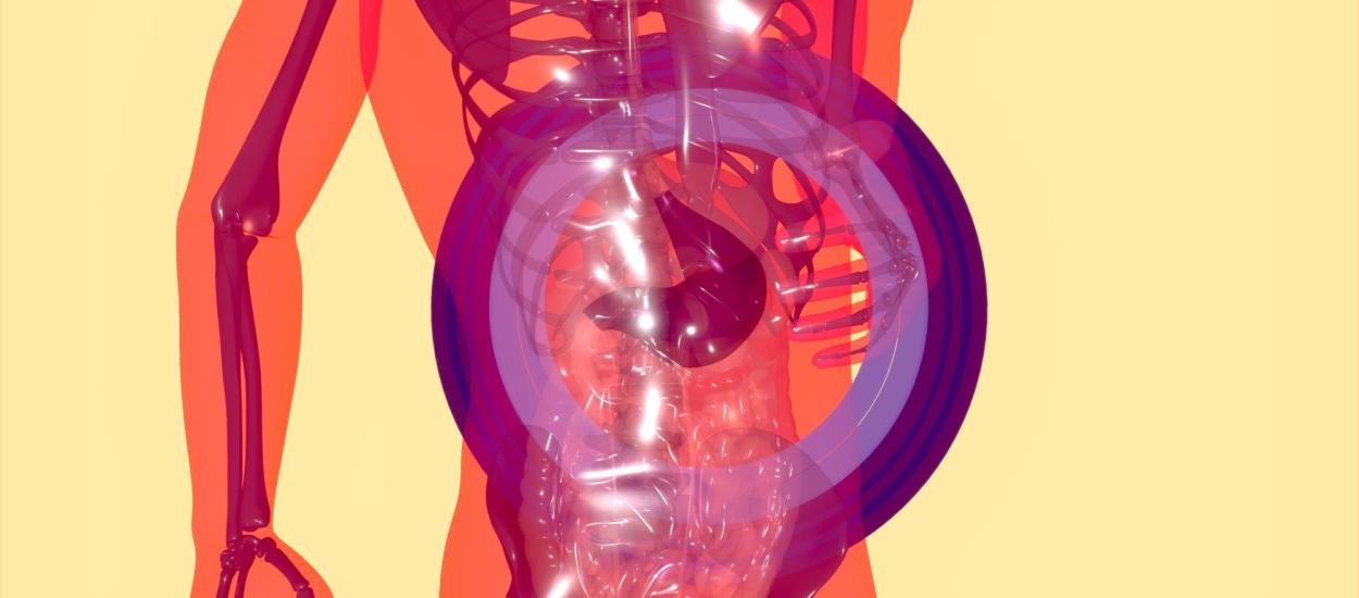 Splina poate agrava inflamația după accident vascular cerebral (AVC)