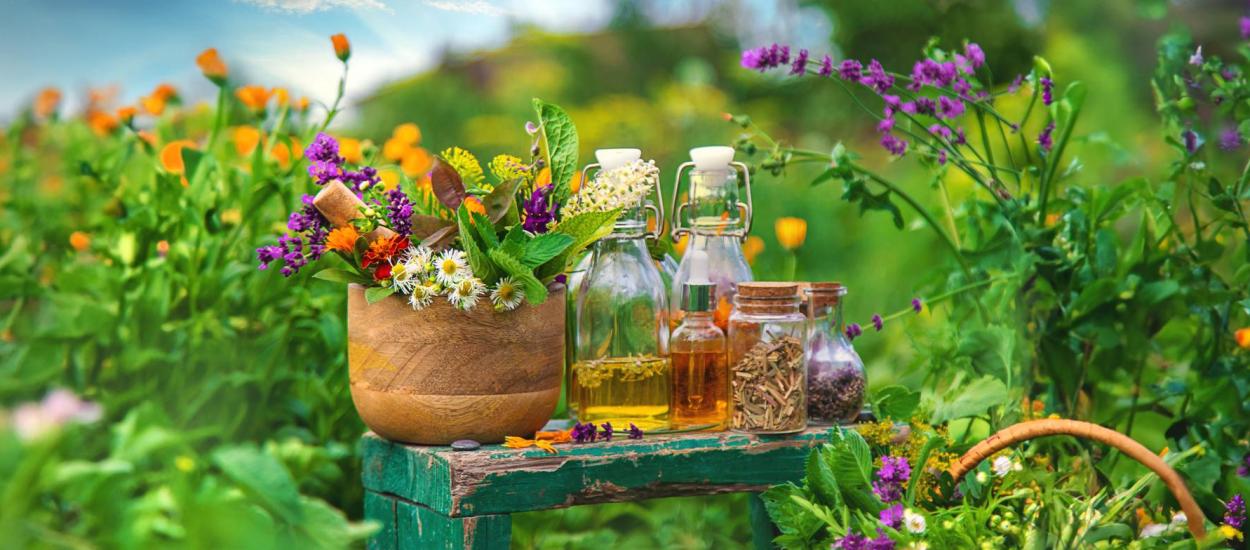 De la controlul glicemiei la protecția inimii. 5 extracte naturale care pot completa tratamentele clasice