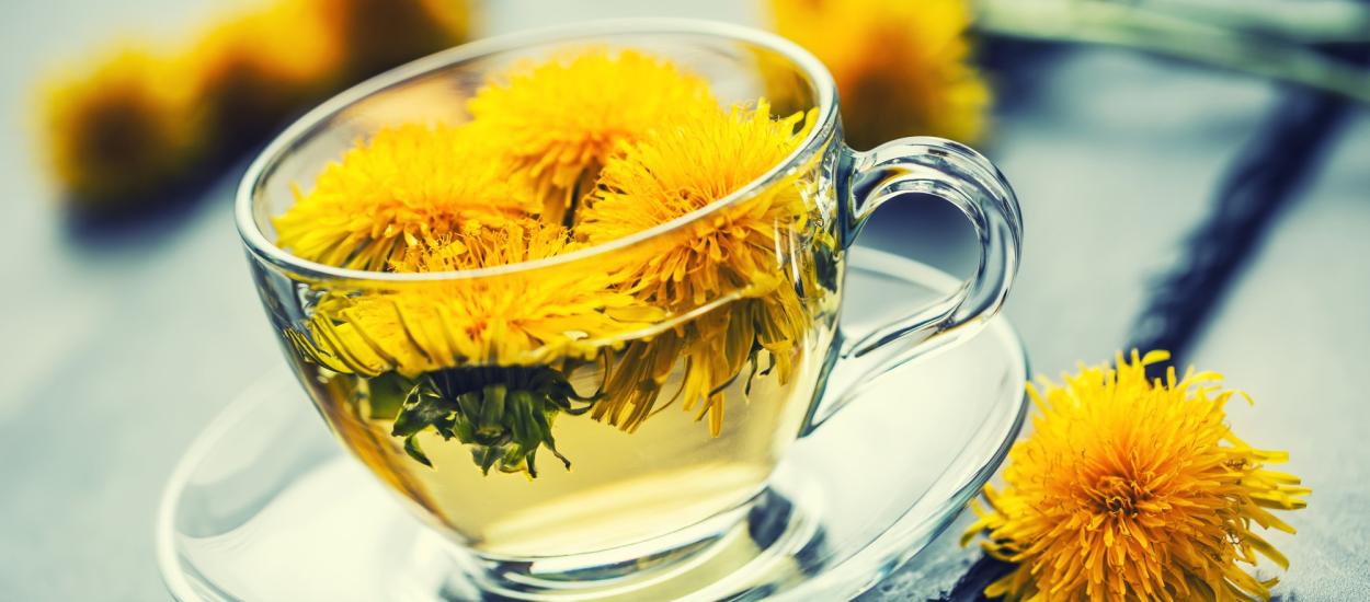 Ce se întâmplă în corp când bei ceai de păpădie. Ce au descoperit cercetătorii despre planta Taraxacum officinale