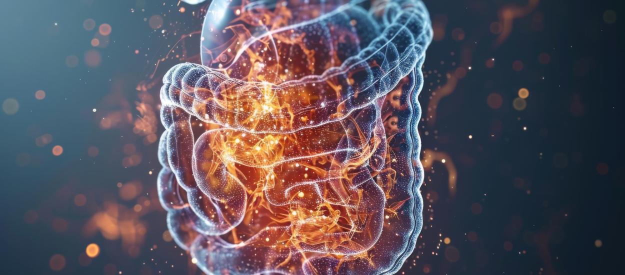 Vitamina care calmează inflamația intestinală. Noua descoperire a cercetătorilor de la Mayo Clinic