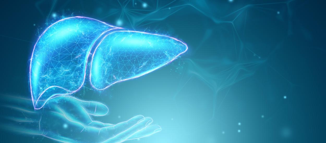Ficatul gras, boala tăcută care transformă grăsimea în tumori hepatice