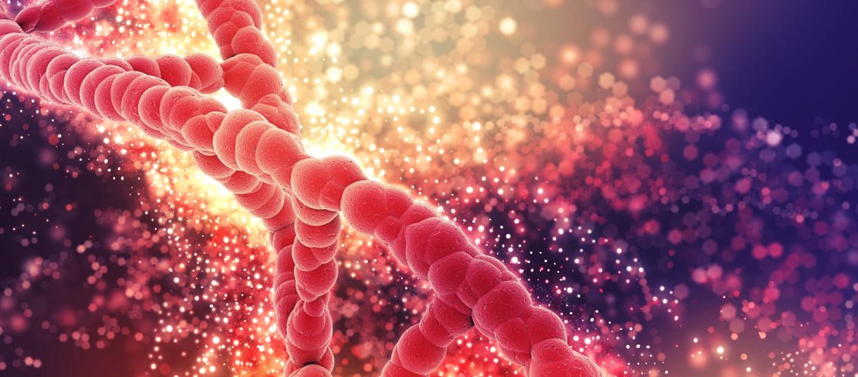 Obiceiul simplu care reduce riscul de cancer. Cum putem preveni cancerul prin mișcare