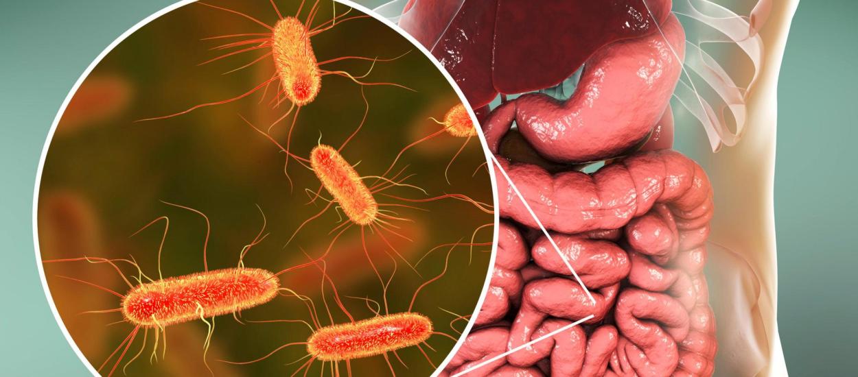 Antibioticele pot lăsa urme în intestin chiar și după 8 ani