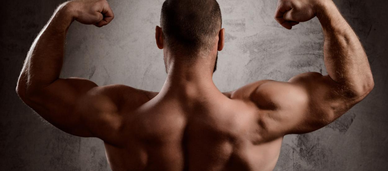 O bacterie hrănită de fibre ar putea fi secretul masei musculare puternice
