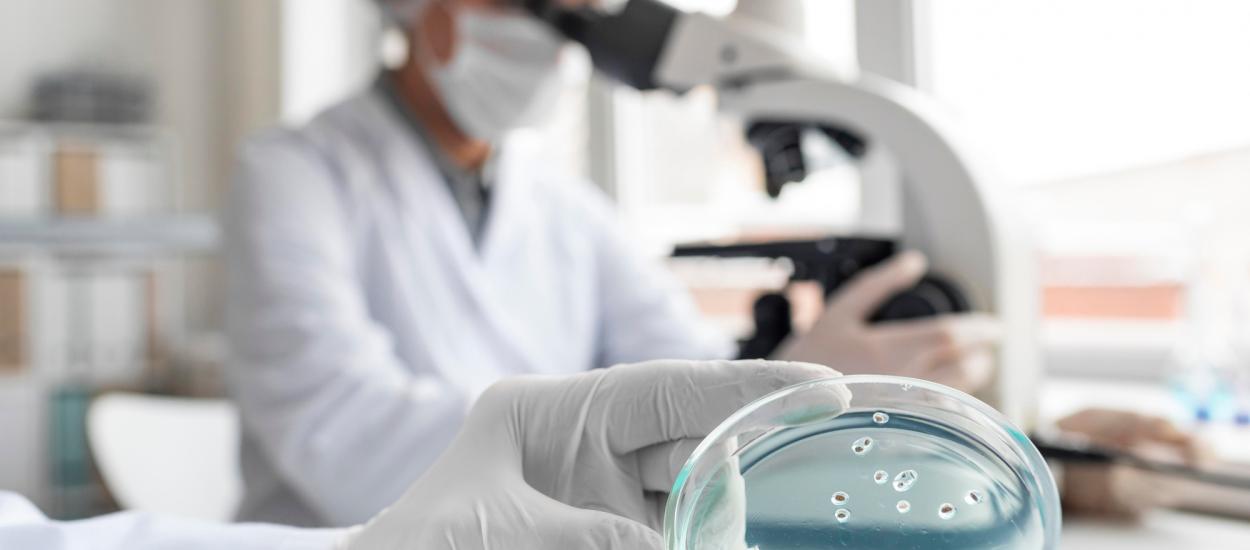 Erbicidul care ar putea avea legătură cu superbacteriile rezistente la antibiotice