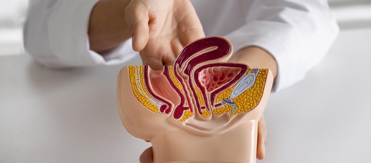 Cancerul urologic, în creștere în România. Aproape jumătate dintre pacienții analizați la Fundeni au avut tumori