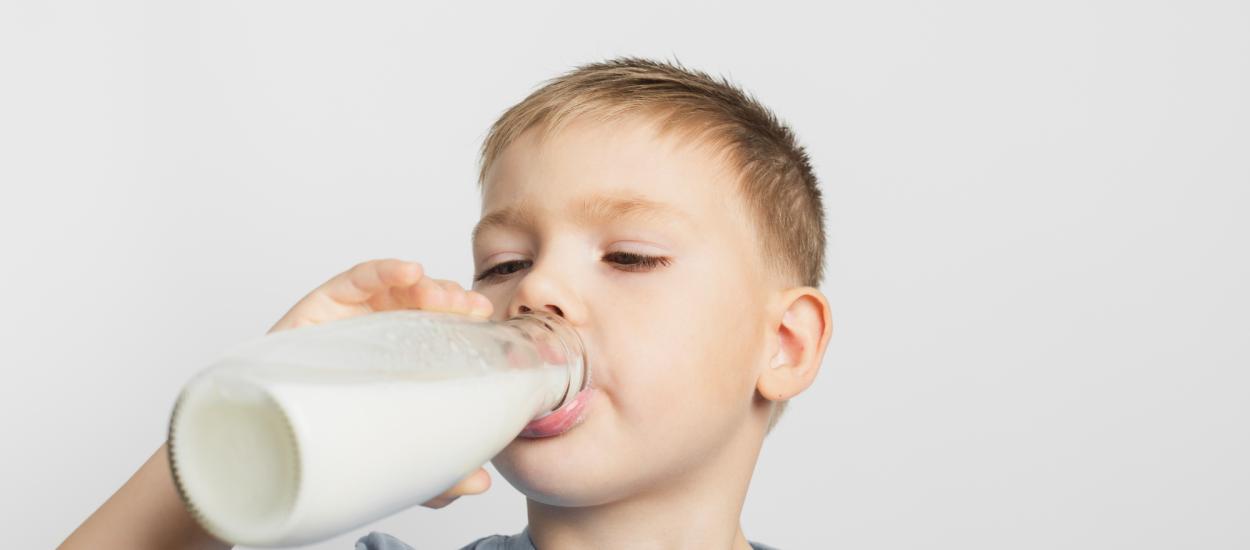 Lapte de vacă vs lapte vegetal: Care este mai bun pentru sănătatea oaselor și absorbția nutrienților