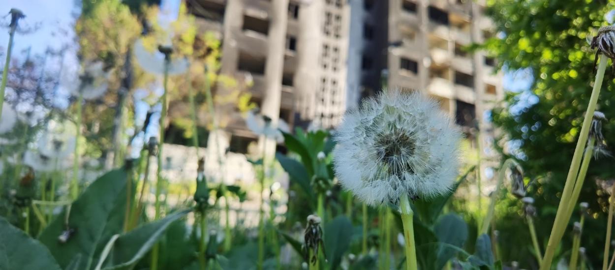 Prof. dr. Codruț Sarafoleanu, despre capcanele climatice și urbane care extind sezonul alergiilor