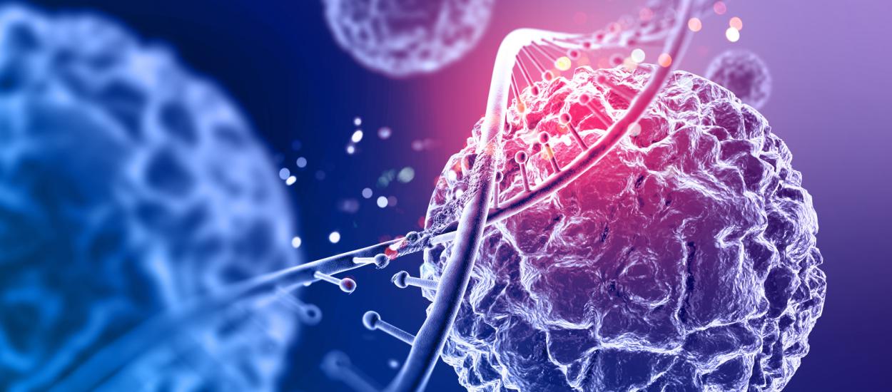 Un supliment accesibil ar putea crește eficiența tratamentelor împotriva cancerului. Cum ajută creatina sistemul imunitar