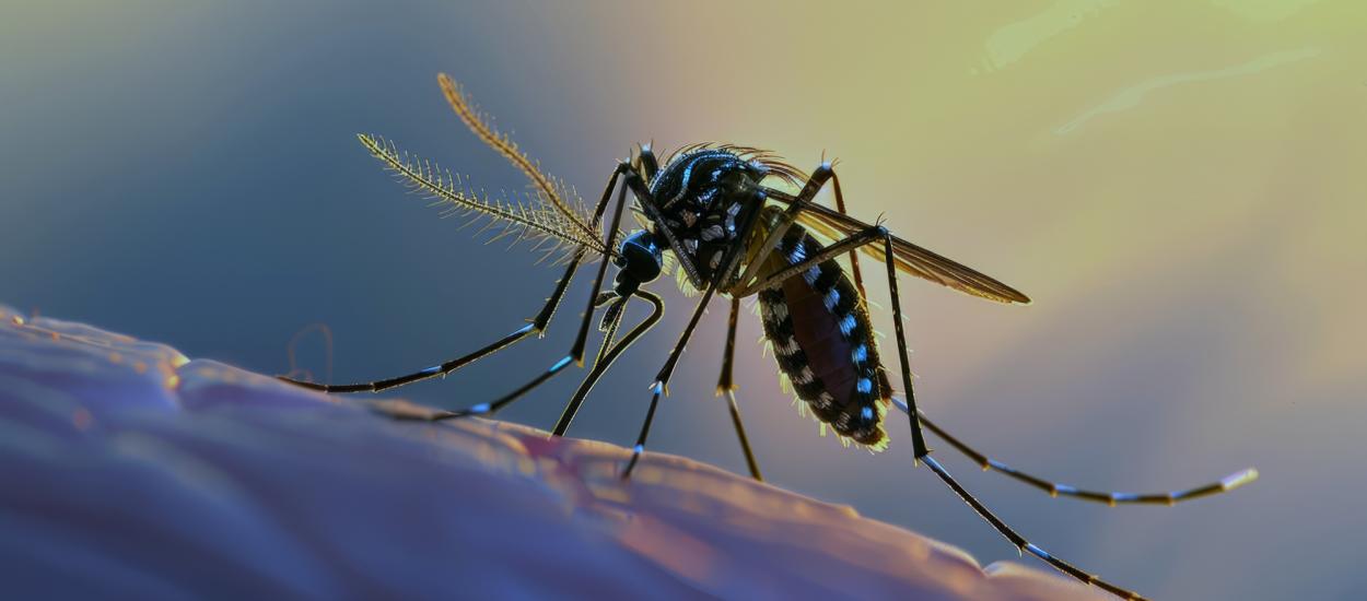 Alertă sanitară în Europa. Virusuri tropicale periculoase se extind rapid în destinațiile de vacanță!