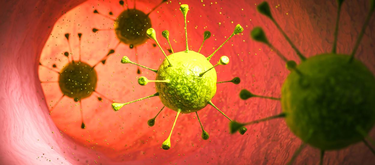 Bacteriile programate genetic, noua armă împotriva cancerului? Cercetătorii le învață să găsească și să atace doar tumorile