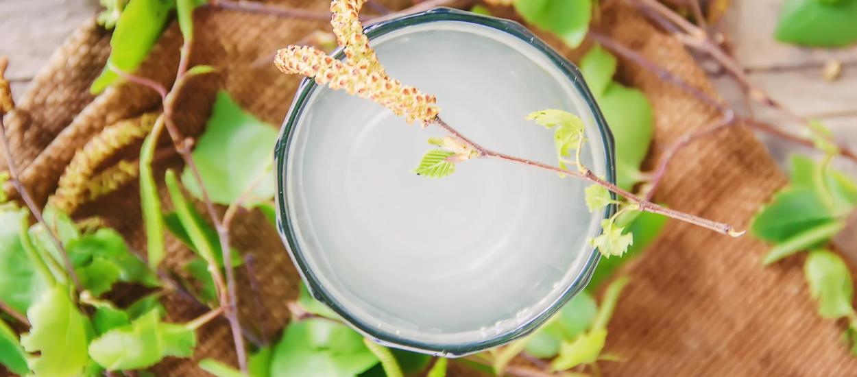 Cocktailul probiotic care ar putea preveni demența