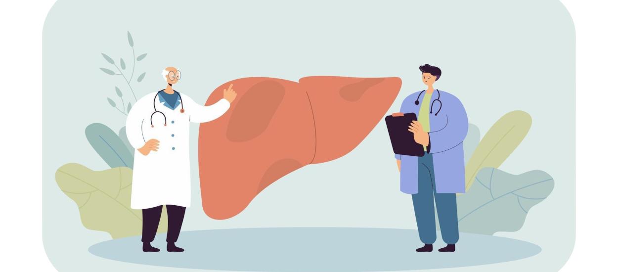 Hormonul care taie pofta de mâncare are un rol secret în ficat. „Linia directă” între creier și ficat care poate opri inflamația