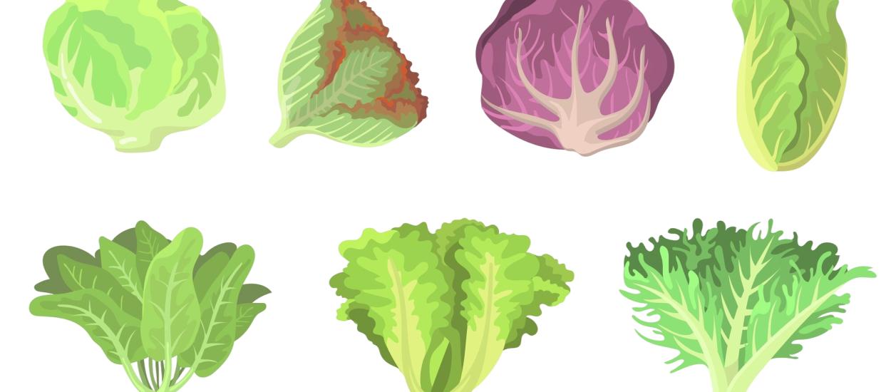 Iceberg, romaine sau kale? Care sunt cele mai sănătoase tipuri de salată