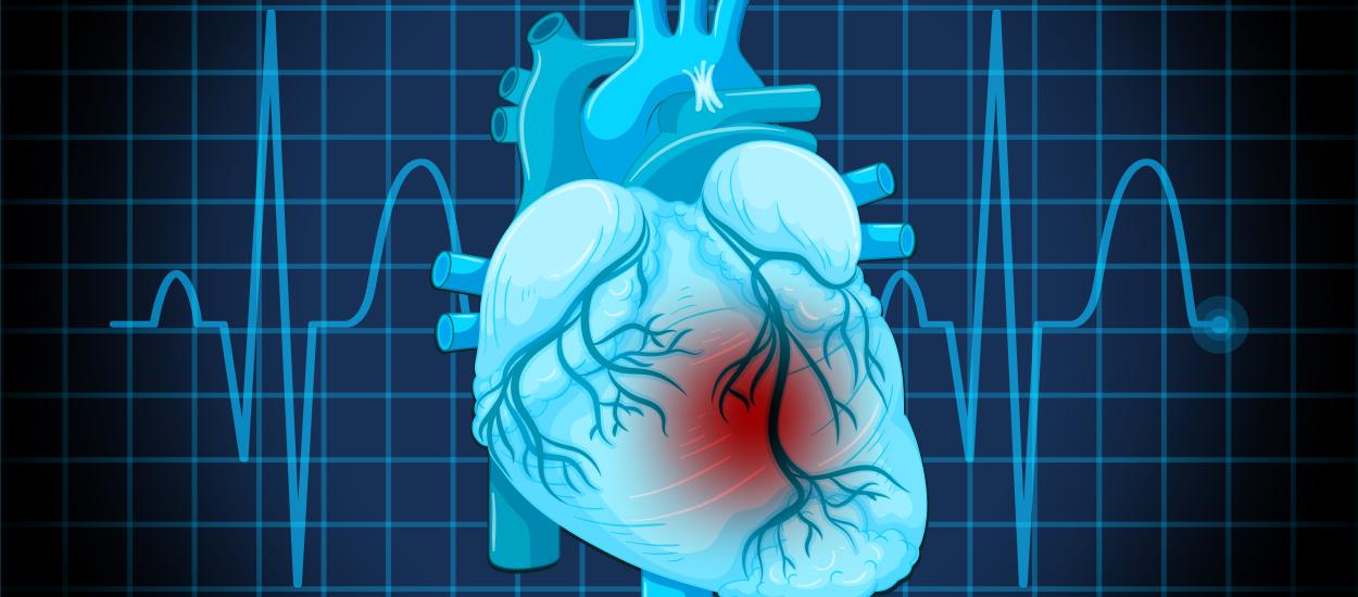 Inima își poate încărca singură stimulatorul cardiac? Dispozitivul care ar putea elimina pentru totdeauna bateria