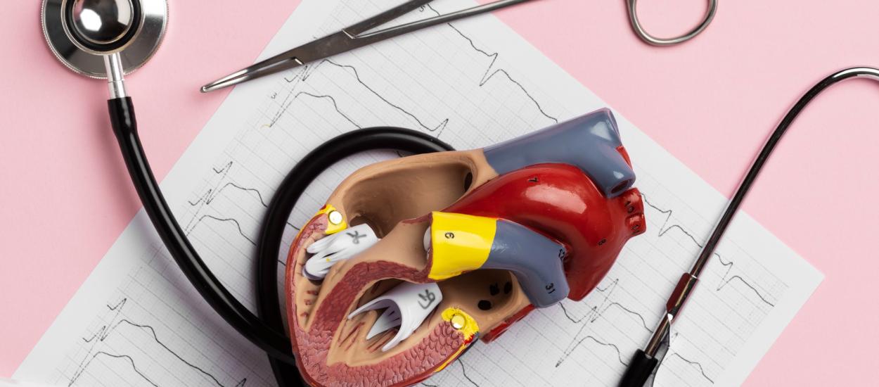 Noua armă împotriva emboliei pulmonare: medicii ajung direct la cheag