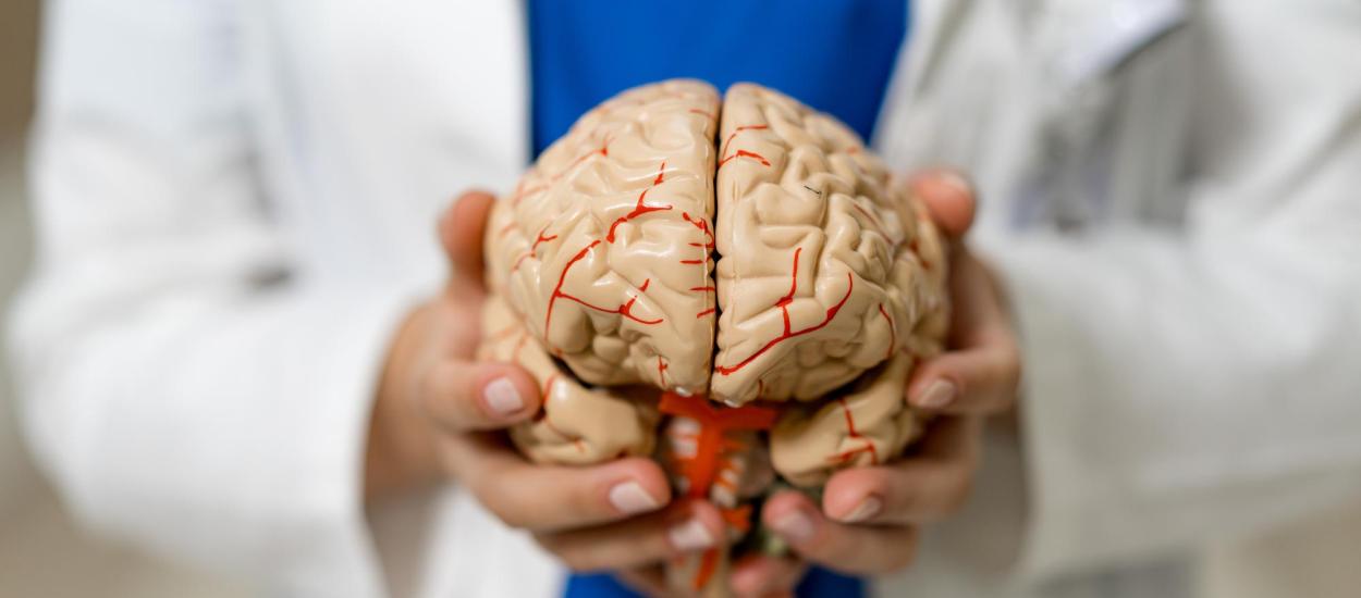 A 21-a ediție a Școlii Internaționale de Vară de Neurologie și a 14-a ediție a European Teaching Course on Neurorehabilitation - Eforie Nord, 2-5 septembrie, 2026