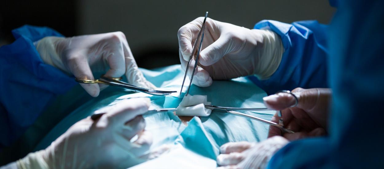 Transplant renal: cum ar putea fi identificați pacienții cu risc mai mic de respingere