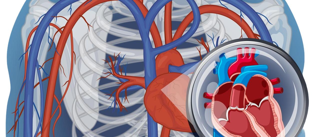 Durerea care poate anunța una dintre cele mai periculoase urgențe medicale. Ce este disecția aortică