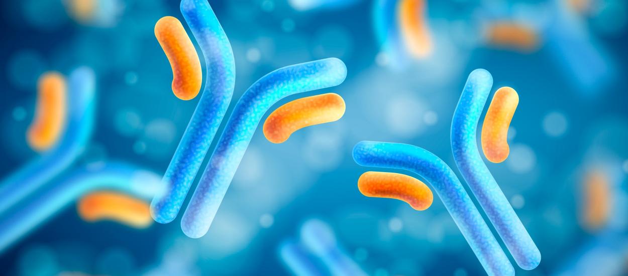 Fragmentele „lipsă” din cromozomul Y pot ajuta cancerul să crească la unele persoane