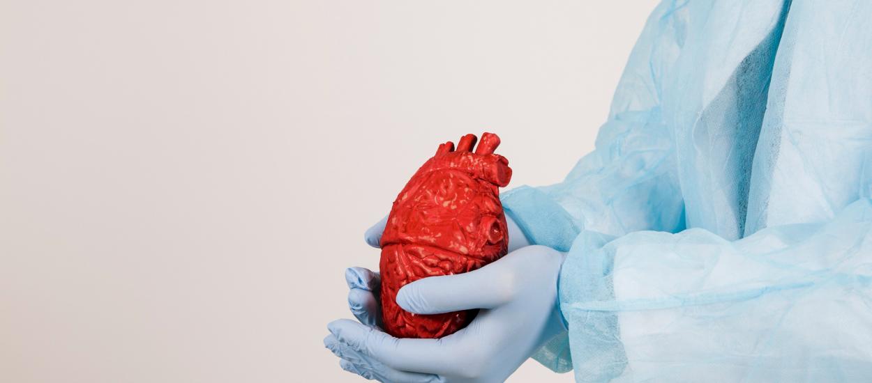 Inteligența artificială ar putea detecta respingerea unei inimi transplantate fără biopsie