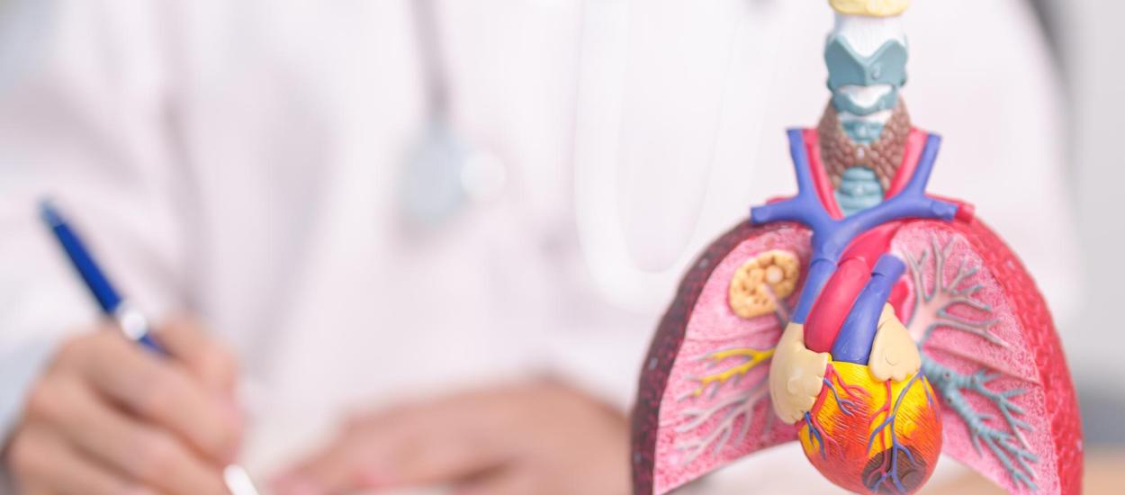 BPOC și bolile de inimă: 3 mituri care pot pune în pericol sănătatea pacienților