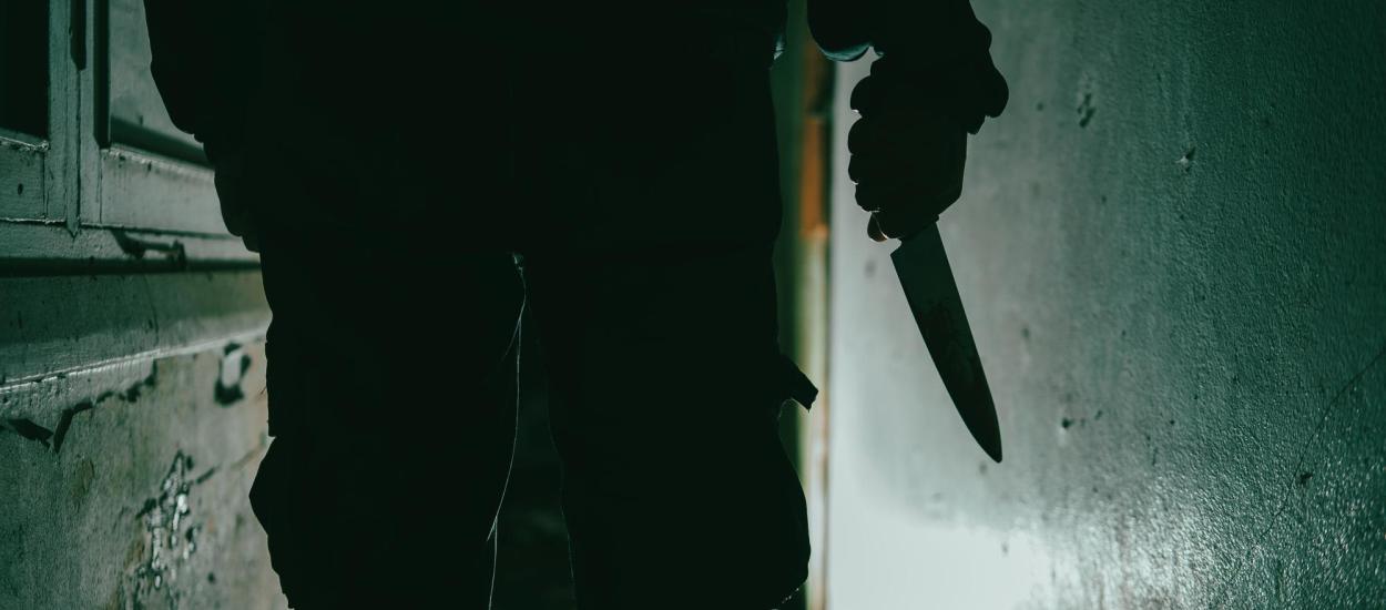 Cum pot ajunge copiii să fie atrași de violență. Ipoteza lui Liviu Chesnoiu în cazul de la Bistrița