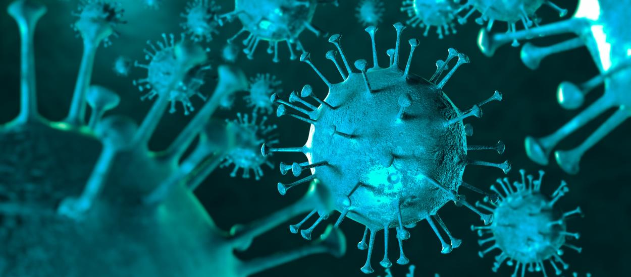 Un virus extrem de comun ar putea reprograma mecanismele de apărare imunitară ale creierului