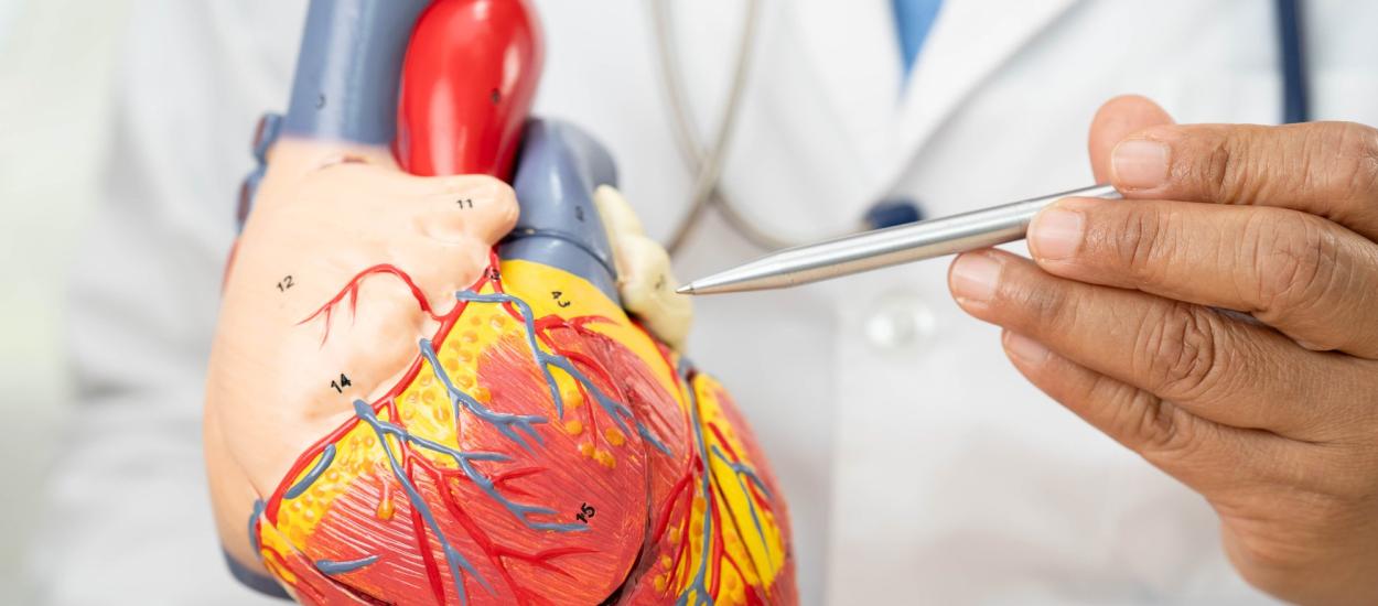 Tratamentul care poate prelungi viața pacienților cu fibrilație atrială. Ce impact au anticoagulantele